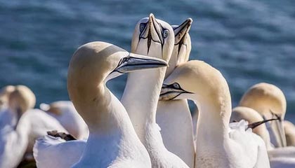 爱游戏下载_ 2025年电竞市场的技术变革展望，游戏电竞产业发展策略