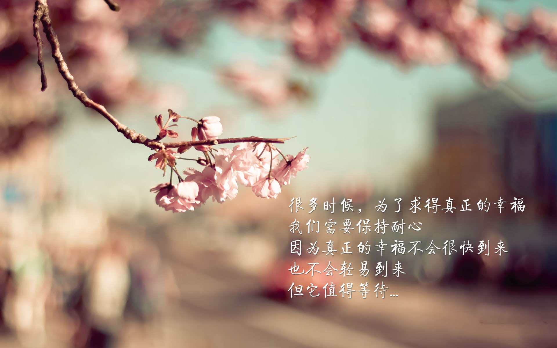 逆转“传奇名场”：那些震撼心灵的回忆，世界上最传奇的逆转