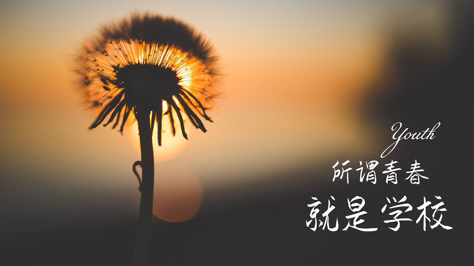 CBA全明星阵容揭晓周琦王哲林领衔内线，cba全明星队员名单