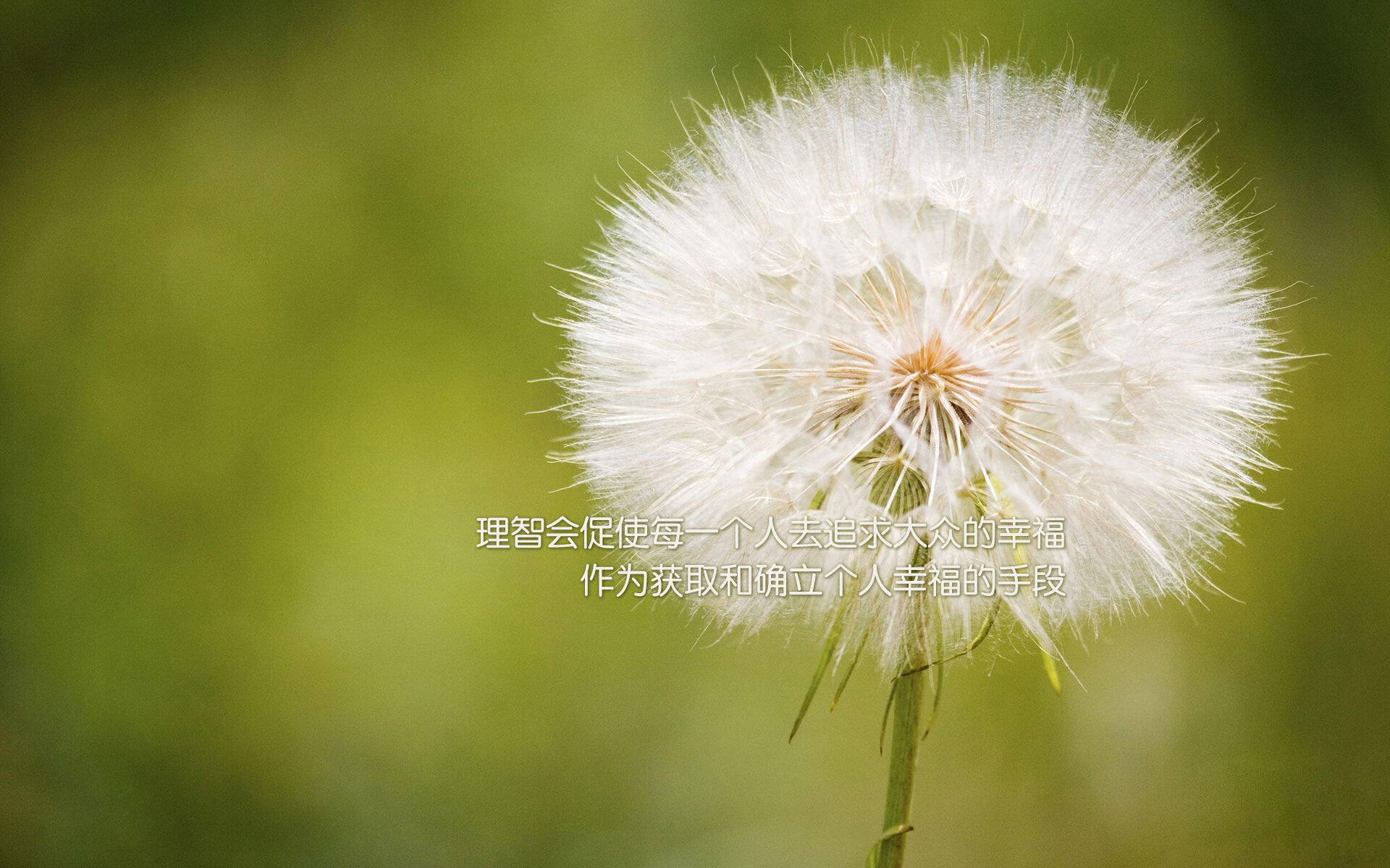 中国驻菲律宾大使馆联合湾区翼龙篮球队等举办篮球慈善活动，促进中菲体育文化交流。