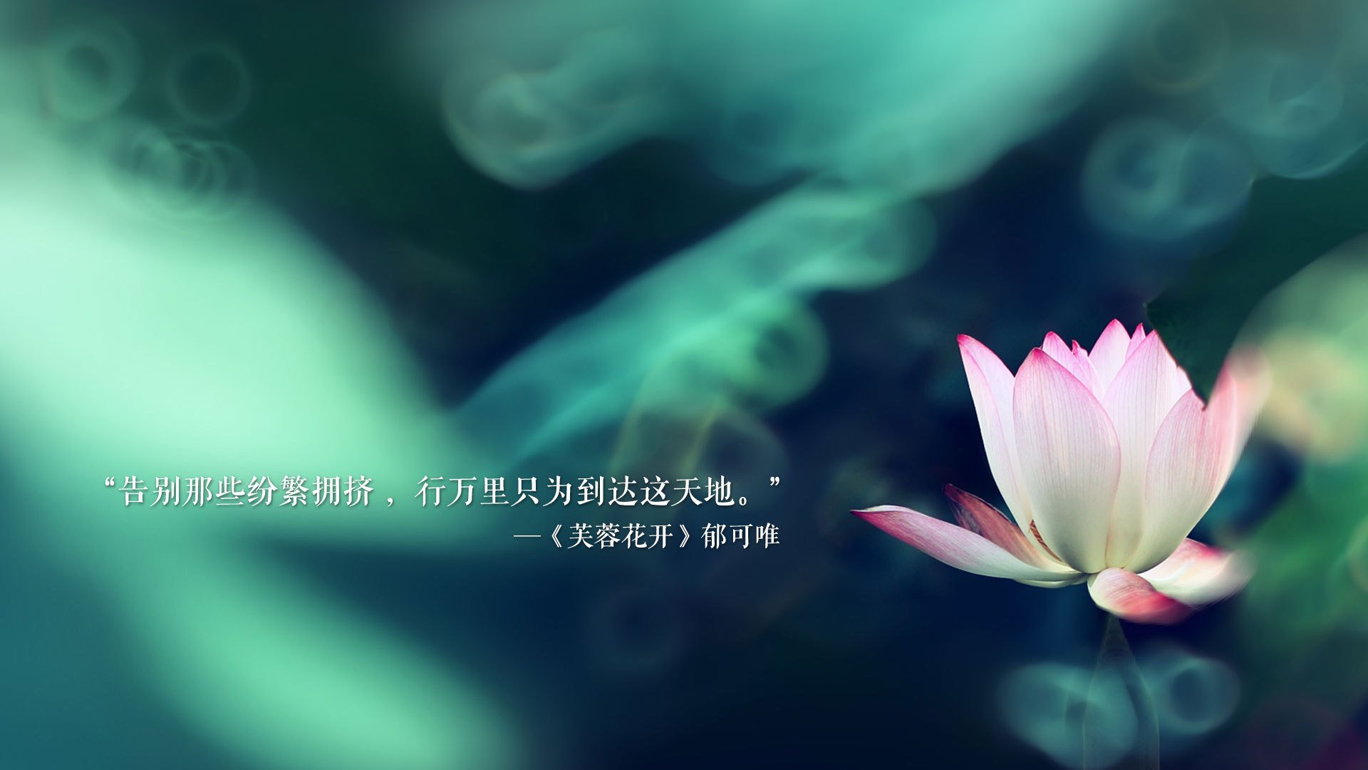 生力啤酒人防守强度逐步加强，生力啤酒现状