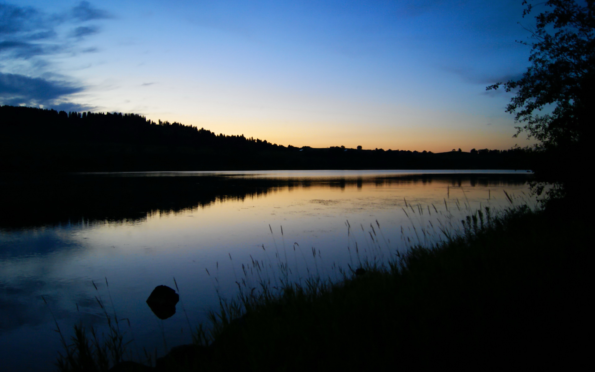 职业联赛推出线上互动平台增进球迷参与感，线上联赛官网